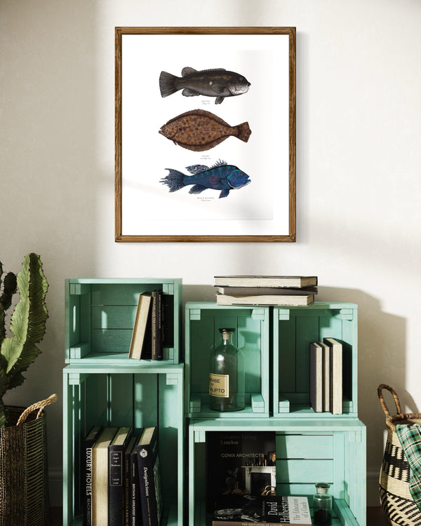 Northeast Inshore II Color Fine Art Print