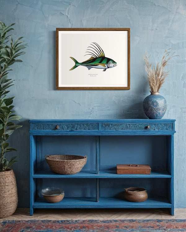 Roosterfish II Color Fine Art Print