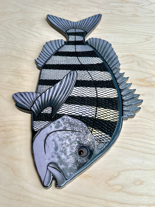 Sheepshead