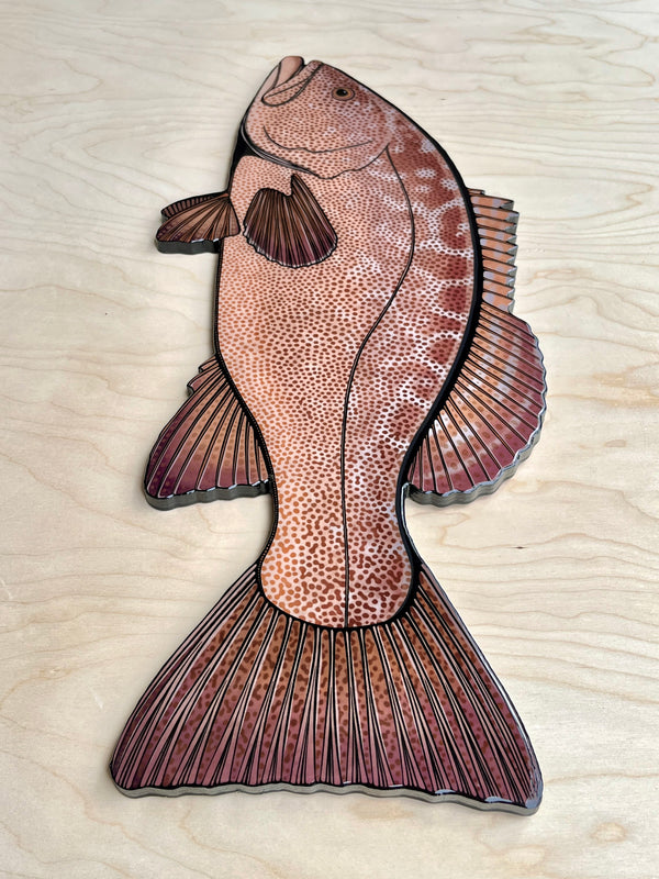 Leopard Grouper