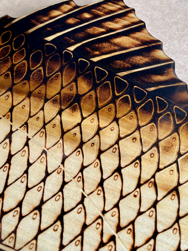 Redfish 47” || Original Woodburned Fish Artwork