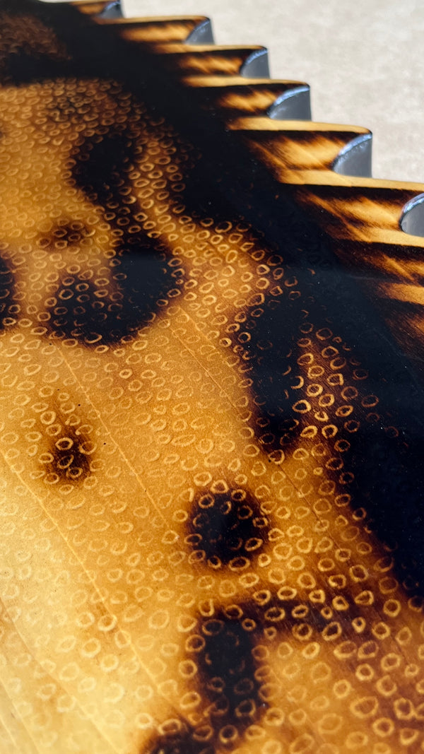 Gag Grouper 41” || Original Woodburned Fish Artwork