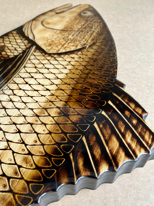 Redfish 47” || Original Woodburned Fish Artwork