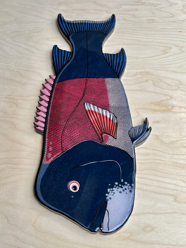 California Sheephead