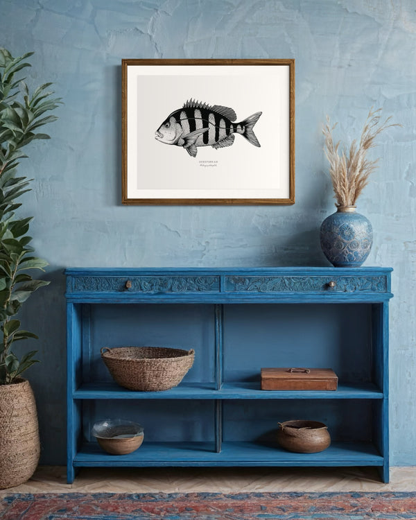 Sheepshead II Black and White Fine Art Print