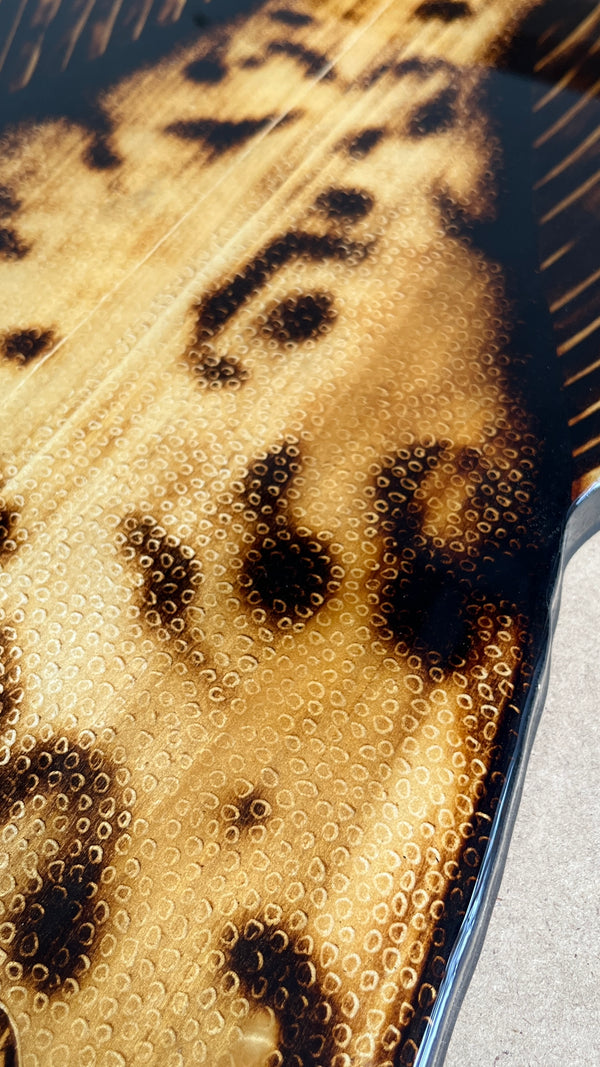 Gag Grouper 41” || Original Woodburned Fish Artwork