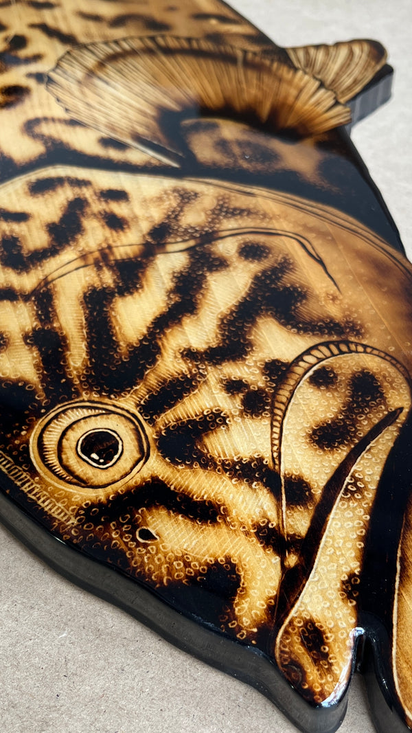 Gag Grouper 41” || Original Woodburned Fish Artwork