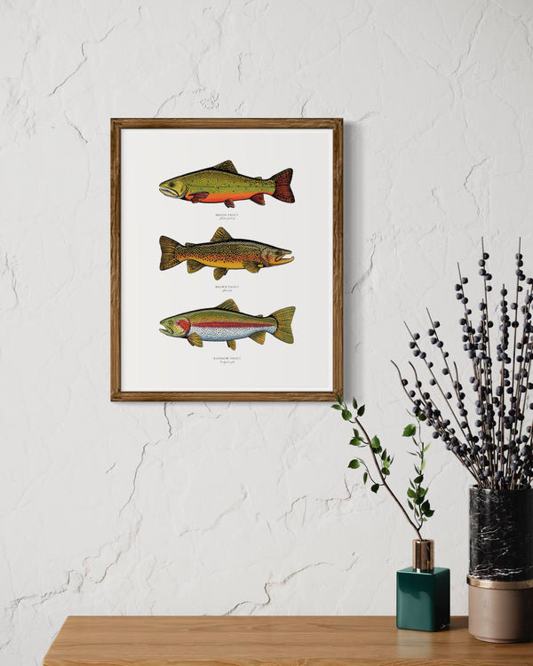 Triple Trout II Color Fine Art Print