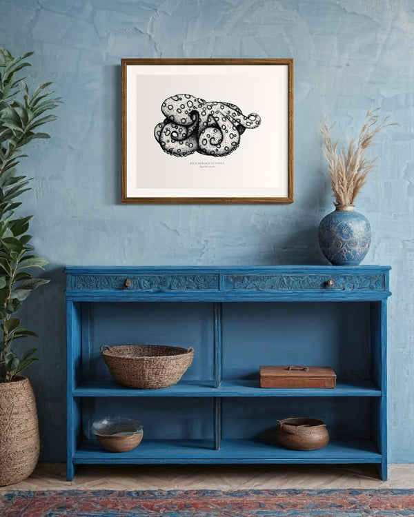 Blue Ringed Octopus II Black and White Fine Art Print