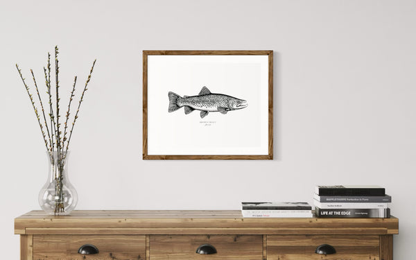 Brown Trout II Black and White Fine Art Print