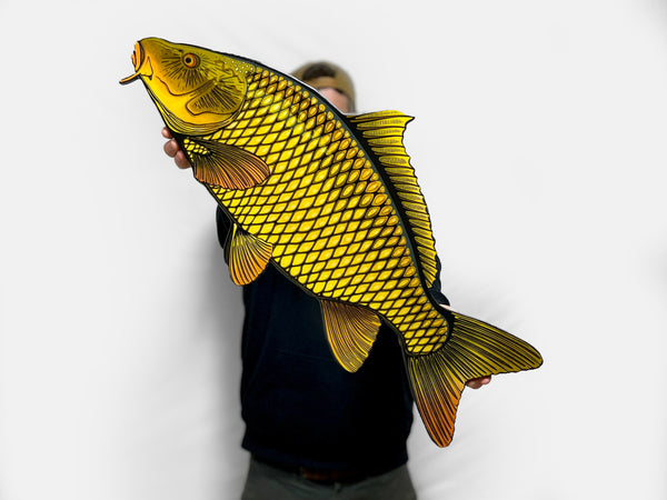 Common Carp Fly Fishing Wall Artwork Freshwater Fish