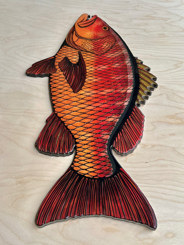 Cubera Snapper