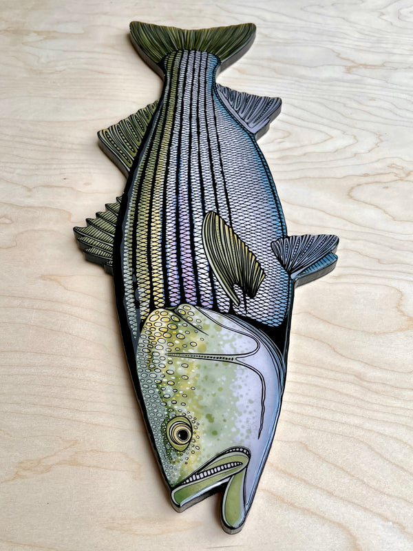 Striped Bass