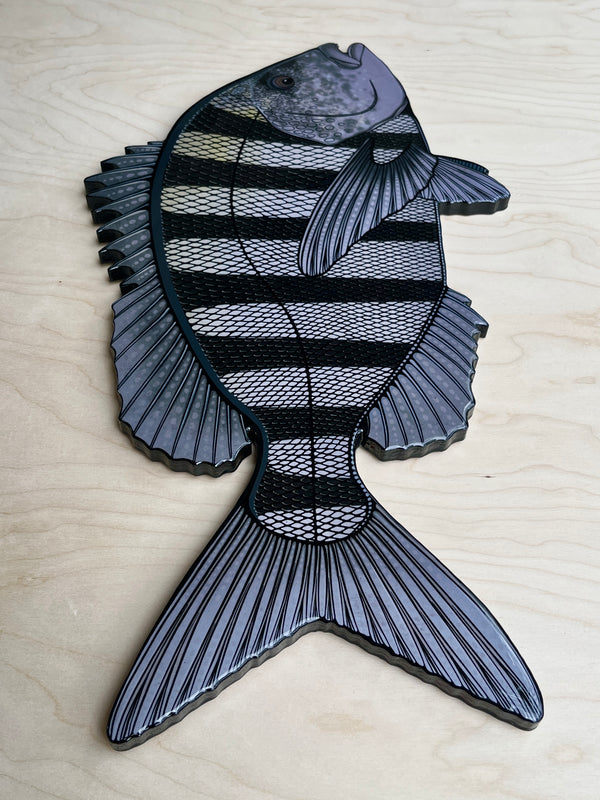 Sheepshead
