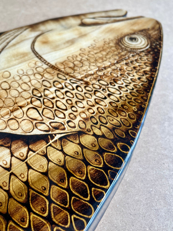 Redfish 47” || Original Woodburned Fish Artwork