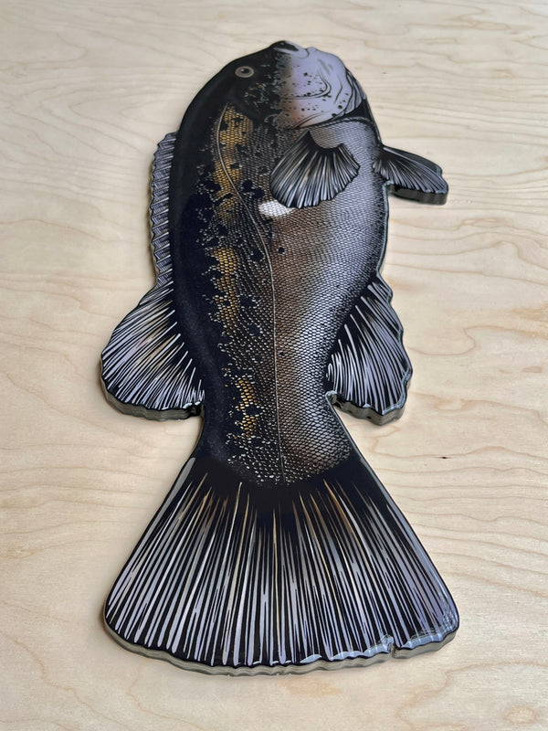 Tautog