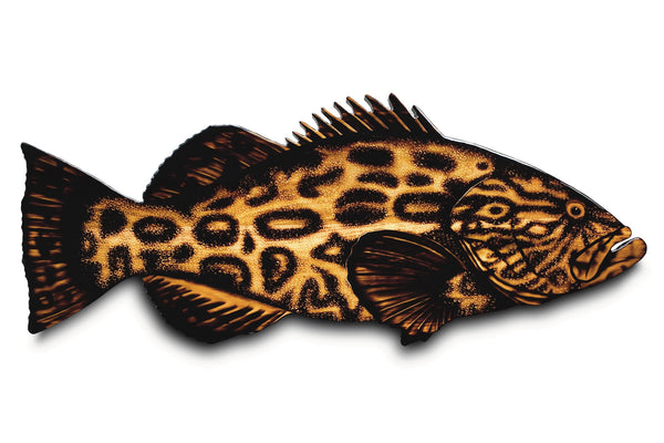 Black Grouper
