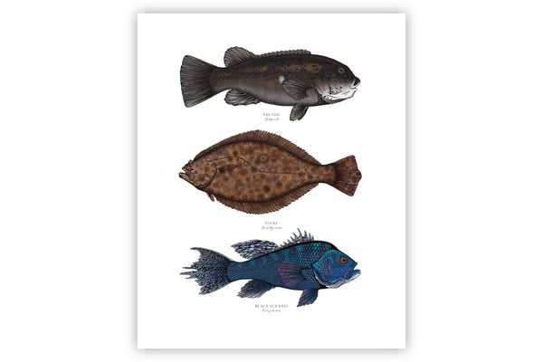 Northeast Inshore II Color Fine Art Print