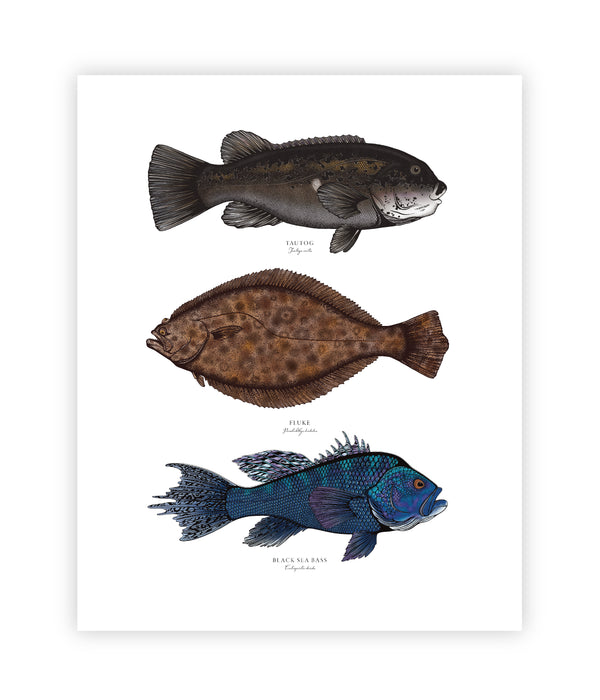 Northeast Inshore II Color Fine Art Print