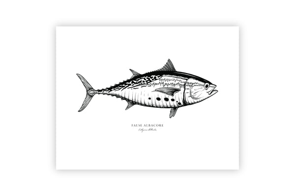 Albie II Black and White Fine Art Print