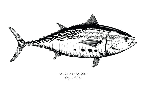 Albie II Black and White Fine Art Print