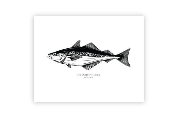 Atlantic Pollock II Black and White Fine Art Print