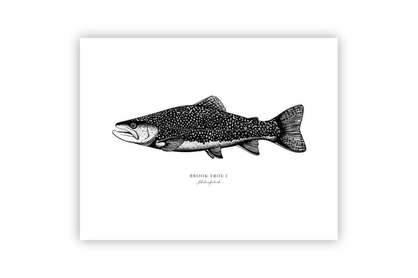 Brook Trout II Black and White Fine Art Print