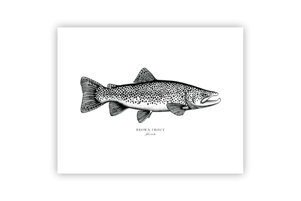 Brown Trout II Black and White Fine Art Print