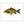 Load image into Gallery viewer, Common Carp II Color Fine Art Print