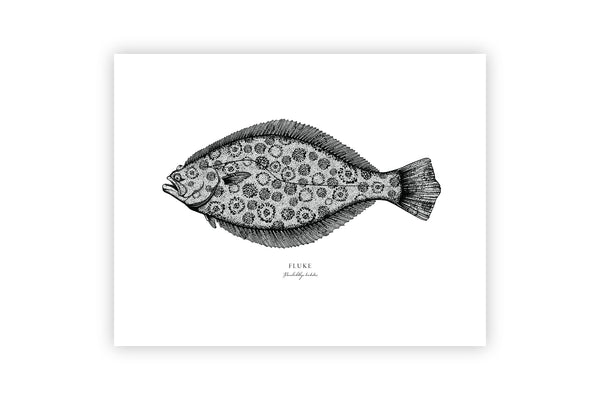 Fluke II Black and White Fine Art Print