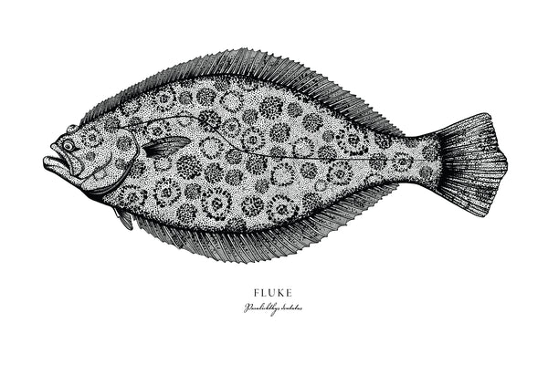 Fluke II Black and White Fine Art Print