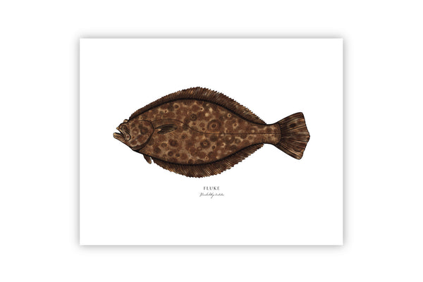 Fluke II Color Fine Art Print