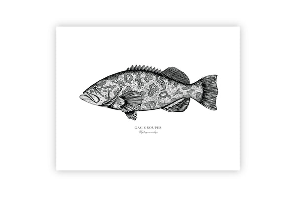 Gag Grouper II Black and White Fine Art Print