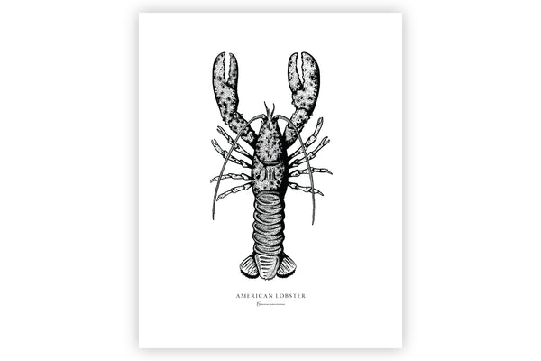 American Lobster II Black and White Fine Art Print