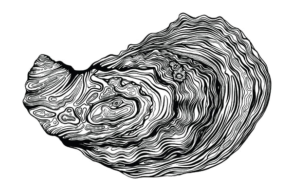 Eastern Oyster II Black and White Fine Art Print