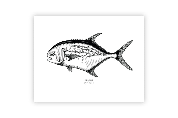 Permit II Black and White Fine Art Print