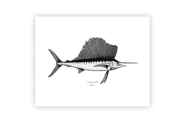 Sailfish II Black and White Fine Art Print