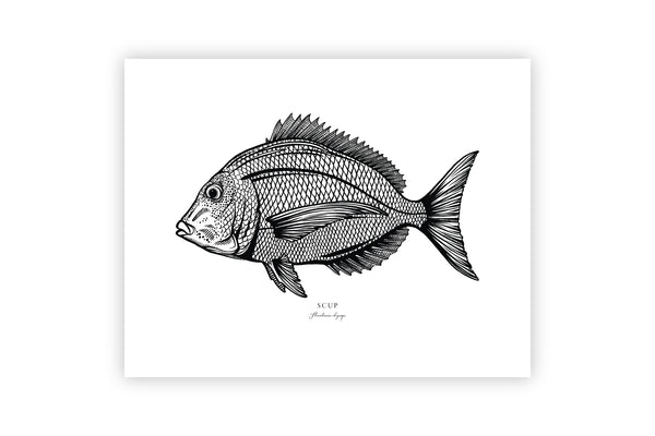 Scup II Black and White Fine Art Print