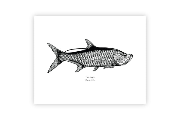 Tarpon II Black and White Fine Art Print