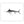 Load image into Gallery viewer, White Marlin II Black and White Fine Art Print