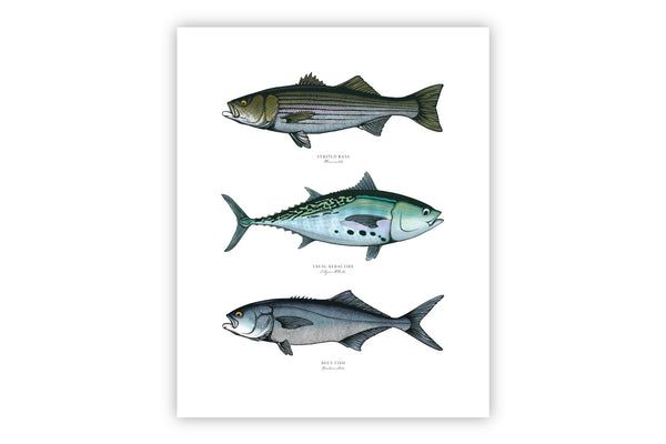 Northeast Grand Slam II Color Fine Art Print