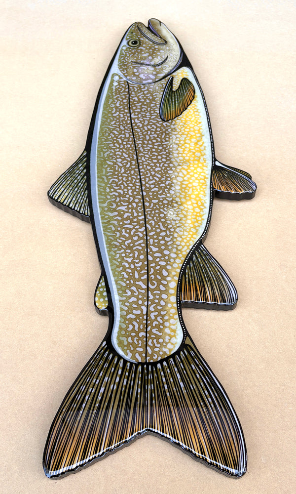 Lake Trout