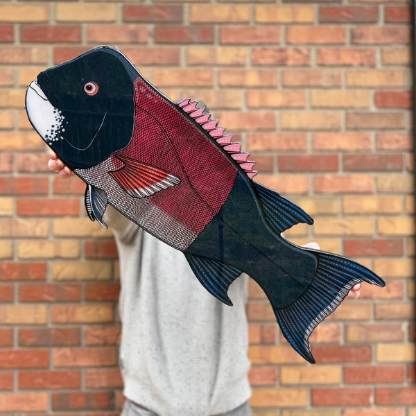 California Sheephead