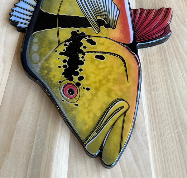 Peacock Bass || 26” Print Mount