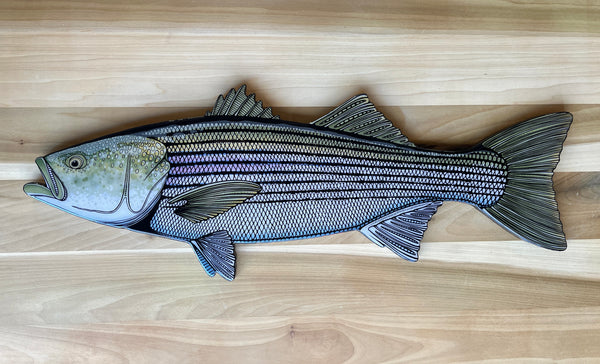 Striped Bass