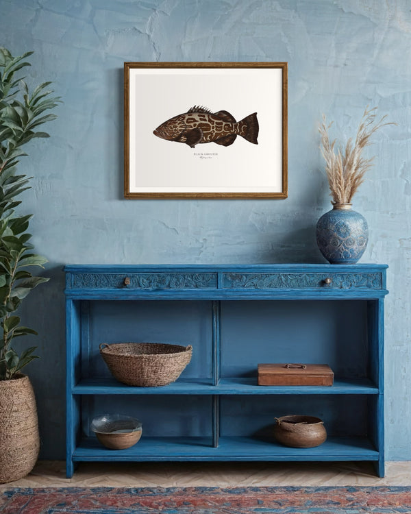 Black Grouper II Color Fine Art Print