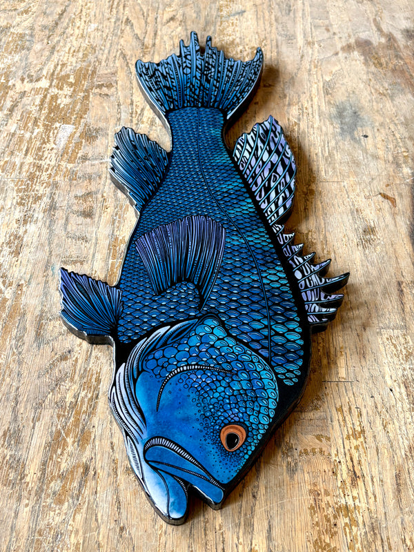Black Sea Bass || Print Mount || 24"