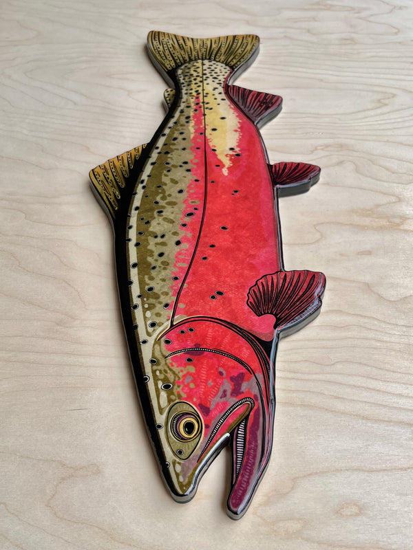 Greenback Cutthroat