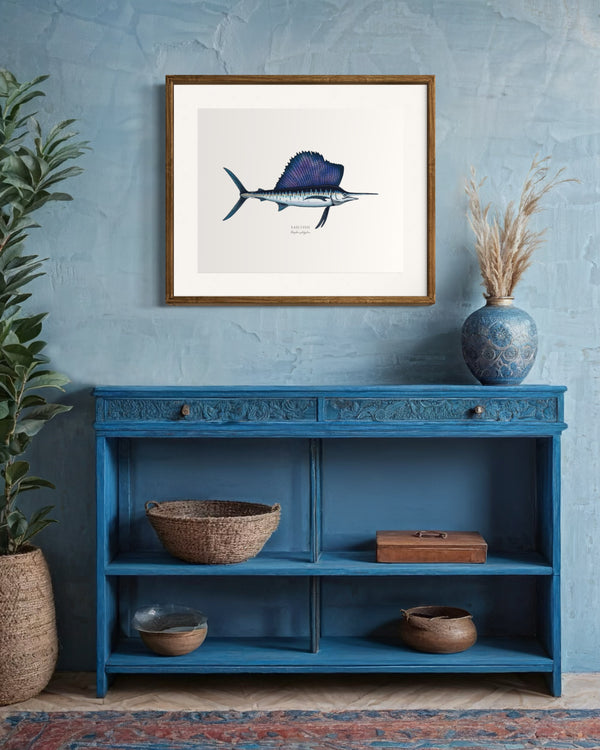 Sailfish II Color Fine Art Print