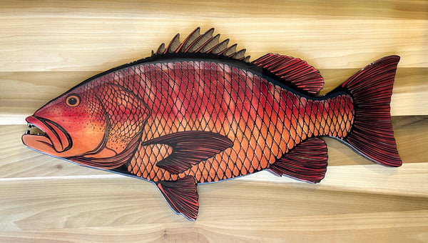 Cubera Snapper || 30” Print Mount